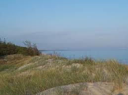 Rezerwat przyrody Łazy